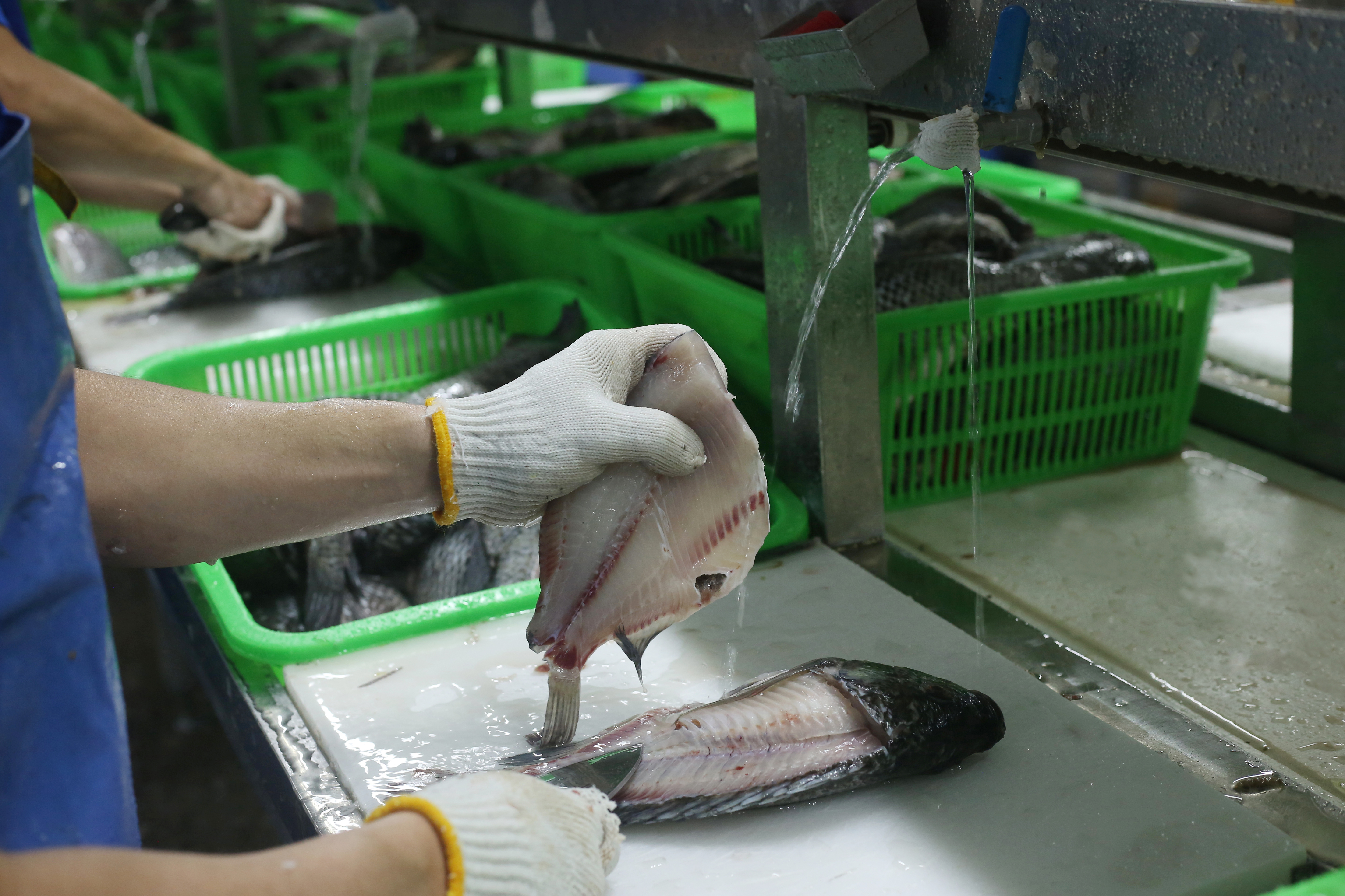 首頁（BASE DISPLAY）左側(cè)01