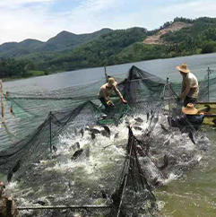 關于我們（QUALIFICATION）01