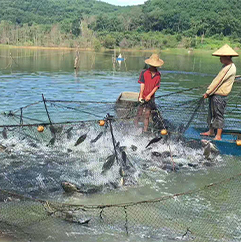 關于我們（QUALIFICATION）02